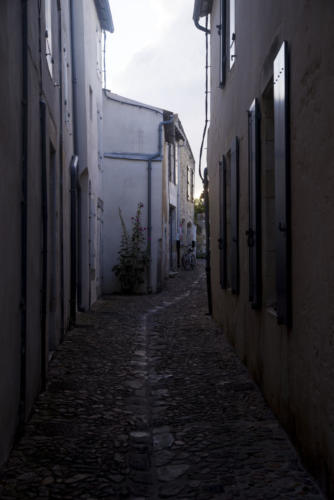 RUELLE