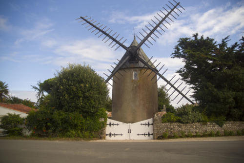 MOULIN