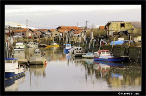 port ostricole 2012